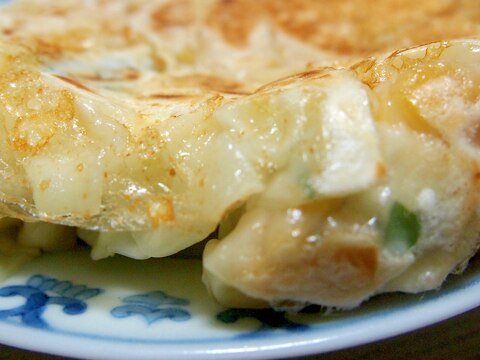 高菜とハムとはんぺんの焼き餃子